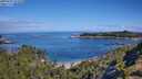./images/calvert/foggy-cove/20250726/foggy-cove20250726_101011M.jpg
