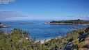 ./images/calvert/foggy-cove/20250726/foggy-cove20250726_102510M.jpg
