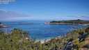 ./images/calvert/foggy-cove/20250726/foggy-cove20250726_103010M.jpg