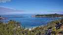 ./images/calvert/foggy-cove/20250726/foggy-cove20250726_103509M.jpg