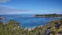 ./images/calvert/foggy-cove/20250726/foggy-cove20250726_105011M.jpg