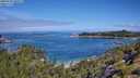 ./images/calvert/foggy-cove/20250726/foggy-cove20250726_105509M.jpg