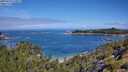 ./images/calvert/foggy-cove/20250726/foggy-cove20250726_110011M.jpg