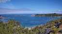 ./images/calvert/foggy-cove/20250726/foggy-cove20250726_110506M.jpg