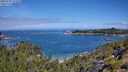 ./images/calvert/foggy-cove/20250726/foggy-cove20250726_111010M.jpg