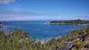 ./images/calvert/foggy-cove/20250726/foggy-cove20250726_112010M.jpg