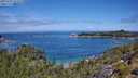./images/calvert/foggy-cove/20250726/foggy-cove20250726_114510M.jpg