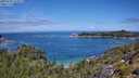 ./images/calvert/foggy-cove/20250726/foggy-cove20250726_115009M.jpg