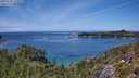 ./images/calvert/foggy-cove/20250726/foggy-cove20250726_133009M.jpg