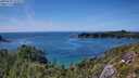 ./images/calvert/foggy-cove/20250726/foggy-cove20250726_153509M.jpg
