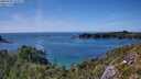 ./images/calvert/foggy-cove/20250726/foggy-cove20250726_155507M.jpg