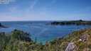 ./images/calvert/foggy-cove/20250726/foggy-cove20250726_161010M.jpg