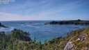 ./images/calvert/foggy-cove/20250726/foggy-cove20250726_165509M.jpg