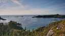 ./images/calvert/foggy-cove/20250726/foggy-cove20250726_181010M.jpg