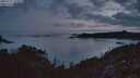 ./images/calvert/foggy-cove/20250727/foggy-cove20250727_051008M.jpg