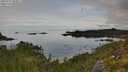 ./images/calvert/foggy-cove/20250727/foggy-cove20250727_083011M.jpg