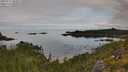./images/calvert/foggy-cove/20250727/foggy-cove20250727_084009M.jpg