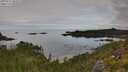 ./images/calvert/foggy-cove/20250727/foggy-cove20250727_084508M.jpg