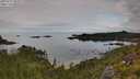./images/calvert/foggy-cove/20250727/foggy-cove20250727_085009M.jpg