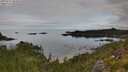./images/calvert/foggy-cove/20250727/foggy-cove20250727_085510M.jpg