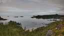 ./images/calvert/foggy-cove/20250727/foggy-cove20250727_090010M.jpg
