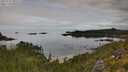 ./images/calvert/foggy-cove/20250727/foggy-cove20250727_090509M.jpg