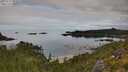 ./images/calvert/foggy-cove/20250727/foggy-cove20250727_091010M.jpg