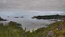 ./images/calvert/foggy-cove/20250727/foggy-cove20250727_095010M.jpg