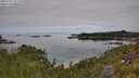 ./images/calvert/foggy-cove/20250727/foggy-cove20250727_111010M.jpg