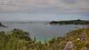 ./images/calvert/foggy-cove/20250727/foggy-cove20250727_144509M.jpg