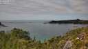 ./images/calvert/foggy-cove/20250727/foggy-cove20250727_145509M.jpg