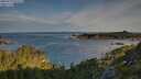 ./images/calvert/foggy-cove/20250728/foggy-cove20250728_073509M.jpg