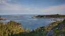 ./images/calvert/foggy-cove/20250728/foggy-cove20250728_081010M.jpg