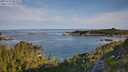 ./images/calvert/foggy-cove/20250728/foggy-cove20250728_081511M.jpg