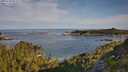 ./images/calvert/foggy-cove/20250728/foggy-cove20250728_083509M.jpg