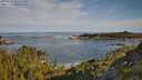 ./images/calvert/foggy-cove/20250728/foggy-cove20250728_084510M.jpg