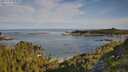 ./images/calvert/foggy-cove/20250728/foggy-cove20250728_085010M.jpg