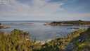 ./images/calvert/foggy-cove/20250728/foggy-cove20250728_085510M.jpg