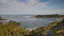 ./images/calvert/foggy-cove/20250728/foggy-cove20250728_090011M.jpg
