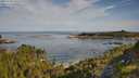 ./images/calvert/foggy-cove/20250728/foggy-cove20250728_090508M.jpg