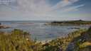 ./images/calvert/foggy-cove/20250728/foggy-cove20250728_091511M.jpg