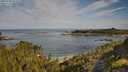 ./images/calvert/foggy-cove/20250728/foggy-cove20250728_092010M.jpg