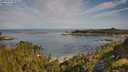 ./images/calvert/foggy-cove/20250728/foggy-cove20250728_092508M.jpg