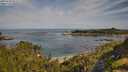 ./images/calvert/foggy-cove/20250728/foggy-cove20250728_094511M.jpg