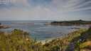 ./images/calvert/foggy-cove/20250728/foggy-cove20250728_095007M.jpg