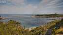 ./images/calvert/foggy-cove/20250728/foggy-cove20250728_095510M.jpg