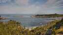 ./images/calvert/foggy-cove/20250728/foggy-cove20250728_100011M.jpg