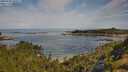 ./images/calvert/foggy-cove/20250728/foggy-cove20250728_100509M.jpg