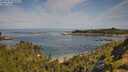 ./images/calvert/foggy-cove/20250728/foggy-cove20250728_101009M.jpg
