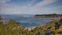 ./images/calvert/foggy-cove/20250728/foggy-cove20250728_102510M.jpg